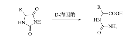 海因酶酶系简介